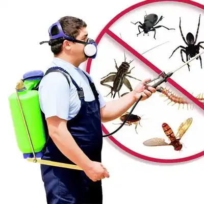 pest control Ironville